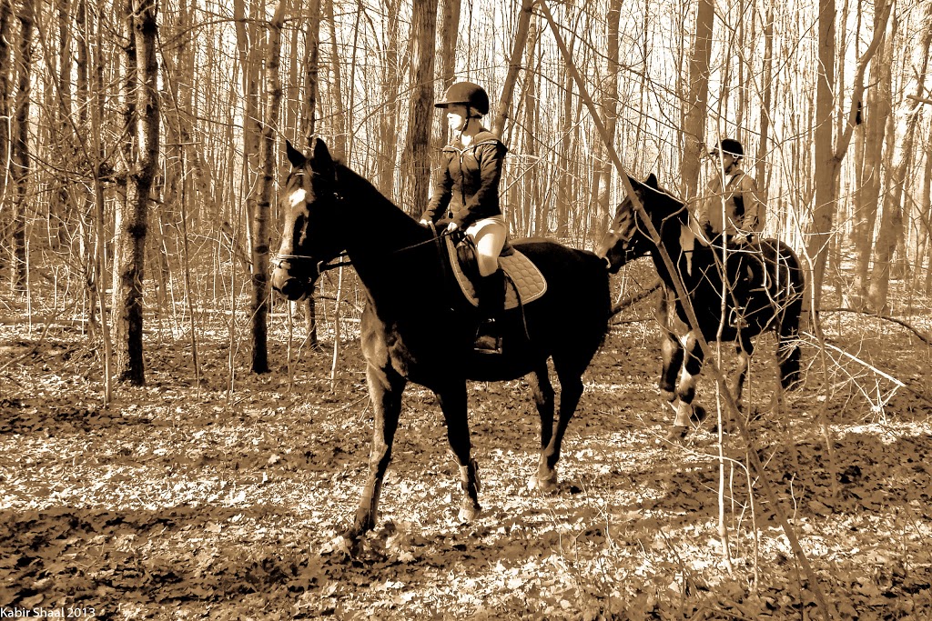 Walker Woods | Goodwood, ON L0C 1A0, Canada