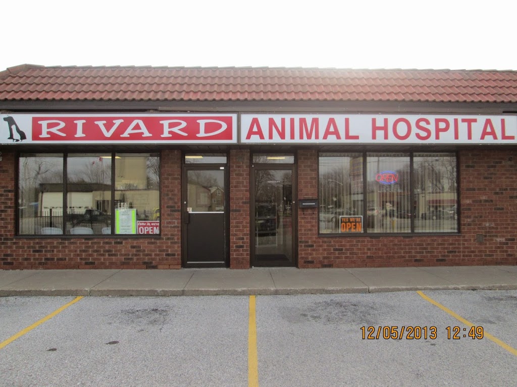 Rivard Animal Hospital | 5635 Tecumseh Rd E, Windsor, ON N8T 1C8, Canada | Phone: (519) 974-7387