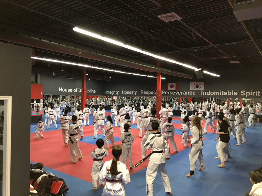 Black Belt World Oakville | 467 Speers Road, Units 5-8, Oakville, ON L6K 3S4, Canada | Phone: (905) 849-5437