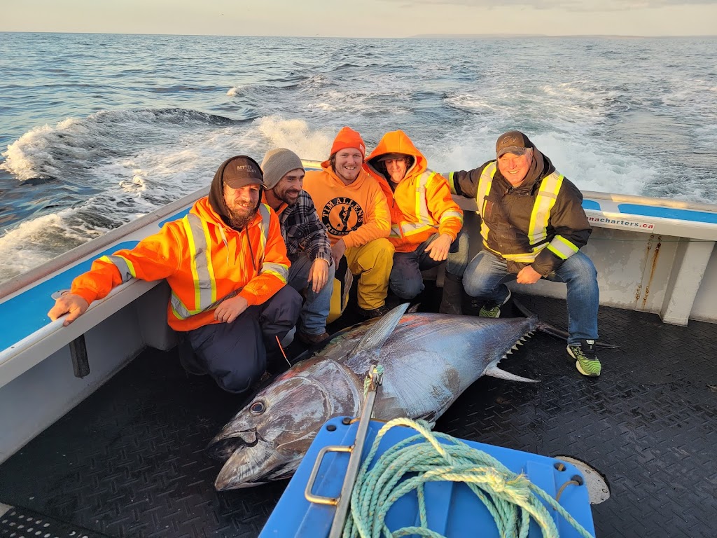 Giant Bluefin Tuna Charters | 90 Ballantynes Cove Wharf Road, Antigonish, NS B2G 2L2, Canada | Phone: (902) 872-0906