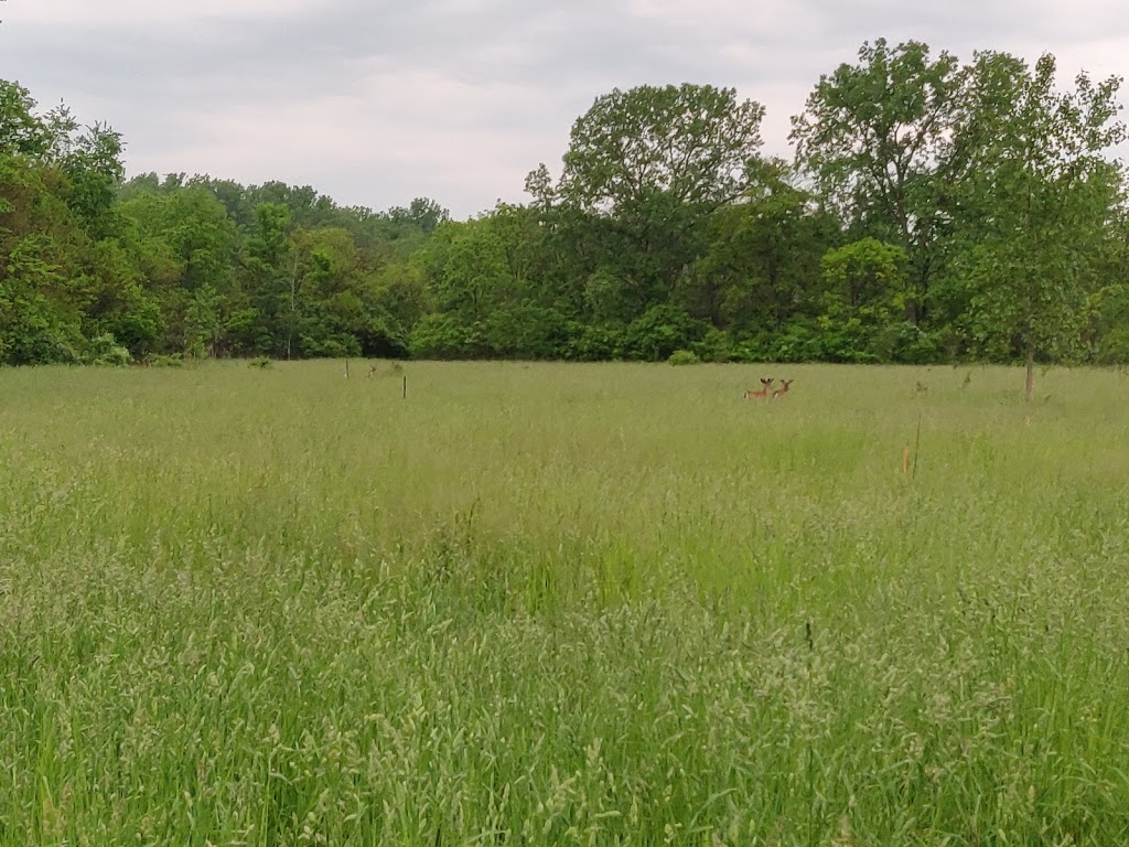 Black Oak Heritage Park | Ojibway Pkwy, Windsor, ON N9A 6S1, Canada | Phone: (519) 255-6267