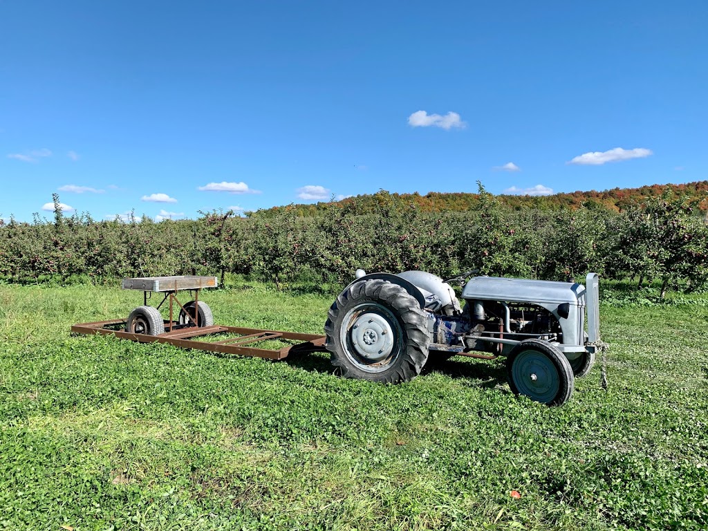 Ferme au Pic Enr | 4551 Chemin Godbout, Dunham, QC J0E 1M0, Canada | Phone: (450) 295-2306