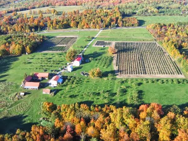 Vignoble du marathonien | 318 QC-202, Havelock, QC J0S 2C0, Canada | Phone: (450) 826-0522