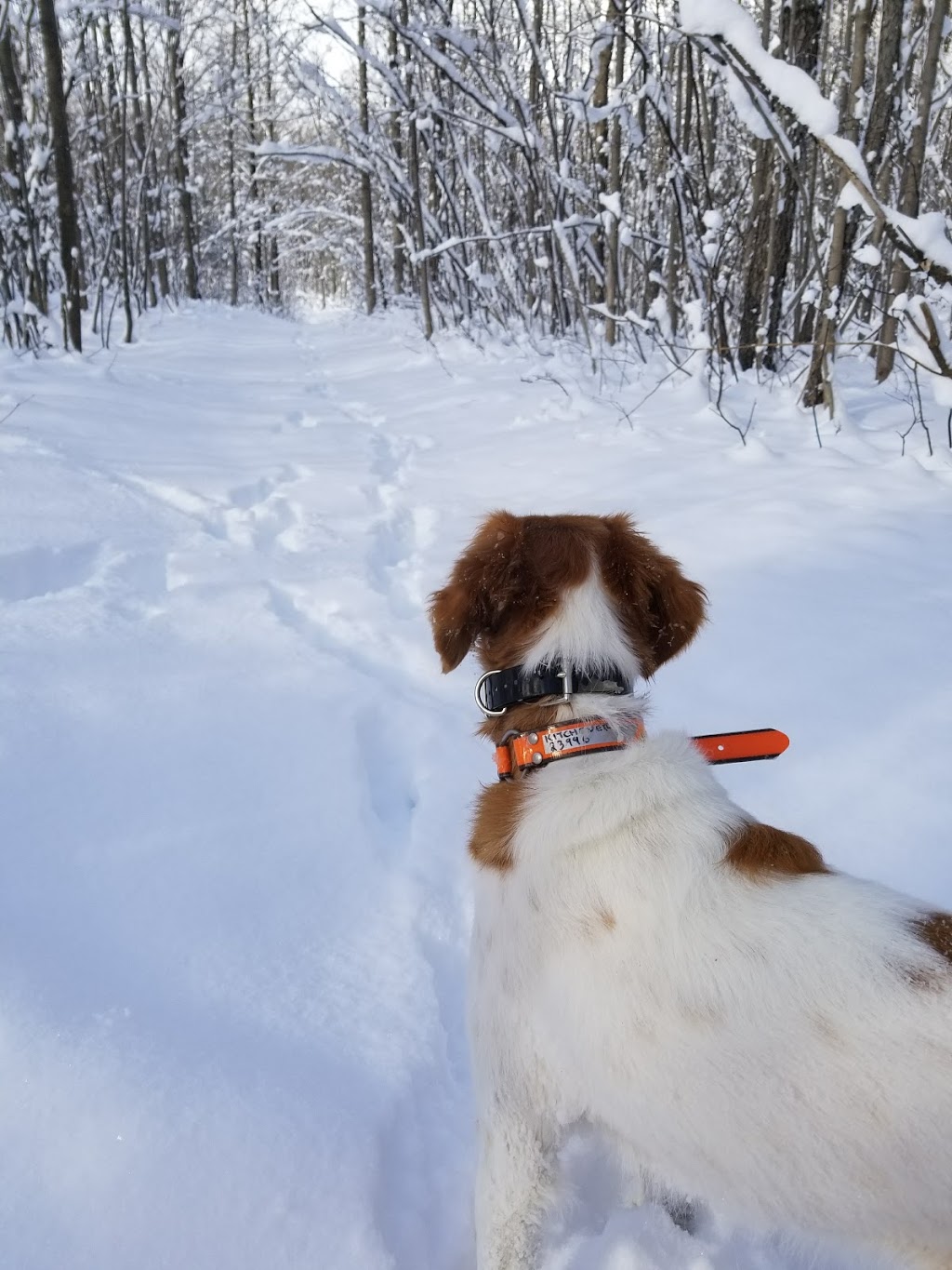 Hullett Provincial Wildlife Area | 41378 Hydro Line Rd, Clinton, ON N0M 1L0, Canada | Phone: (519) 482-7011