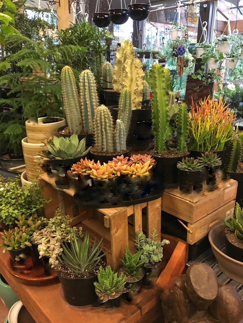 B&K Garden & Landscape Supply | 629 Pratt Rd, Gibsons, BC V0N 1V4, Canada | Phone: (604) 886-0924