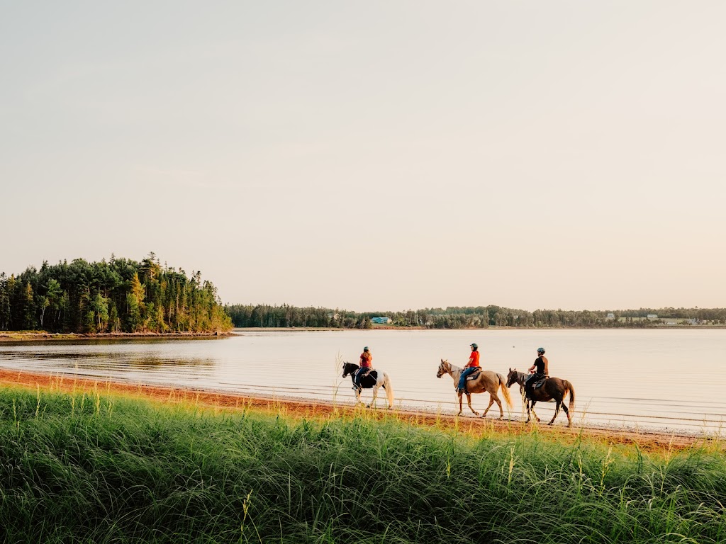 Lakeside Trail Rides | 760 Lakeside Rd, Morell, PE C0A 1S0, Canada | Phone: (902) 652-2396