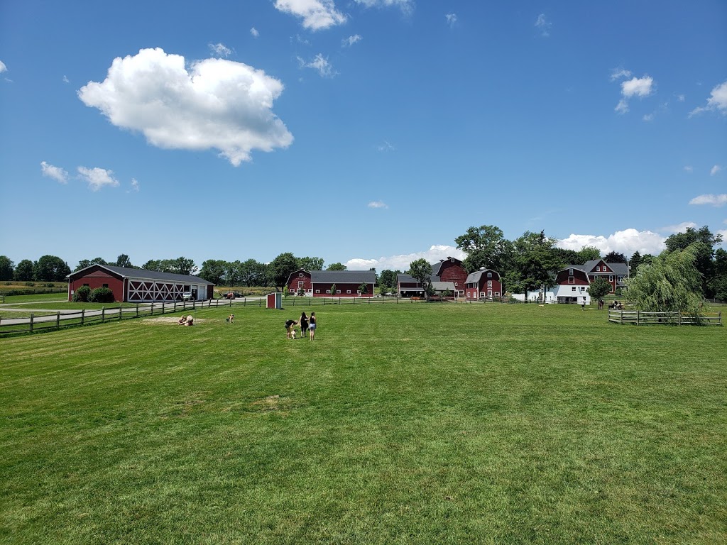 Knox Farm Dog Park | 437 Buffalo Rd, East Aurora, NY 14052, USA | Phone: (716) 652-0786