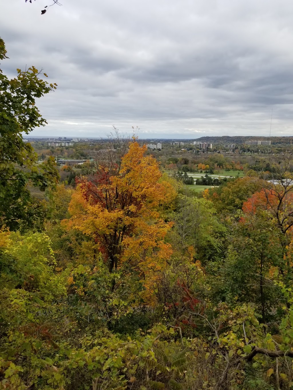 Rail Trail | Mountain Brow Blvd, Hamilton, ON L8T 1A9, Canada