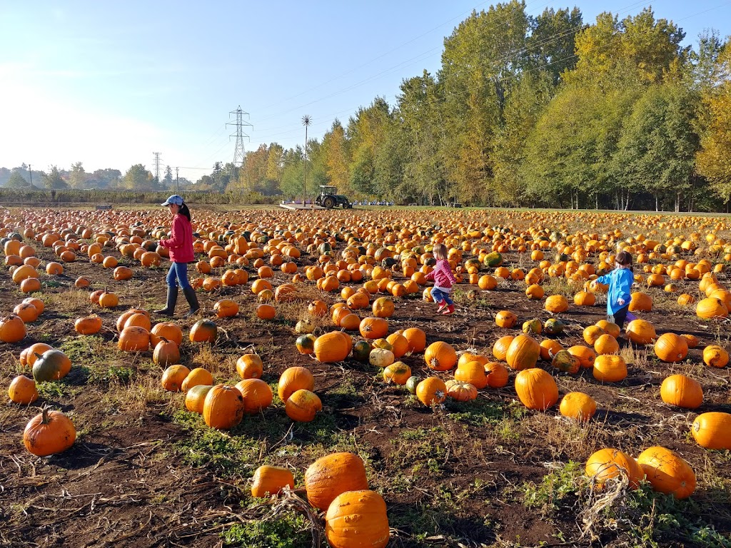 Galey Farms | 4150 Blenkinsop Rd, Victoria, BC V8X 2C4, Canada | Phone: (250) 477-5713