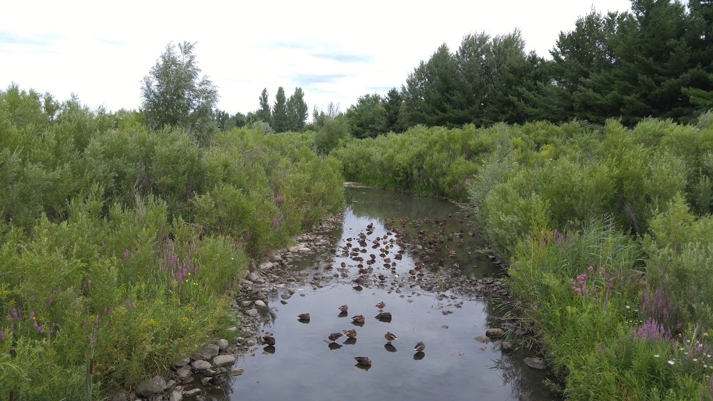 Sawmill Creek Reservoir | Hunt Club East - Western Community, Ottawa, ON K1V, Canada