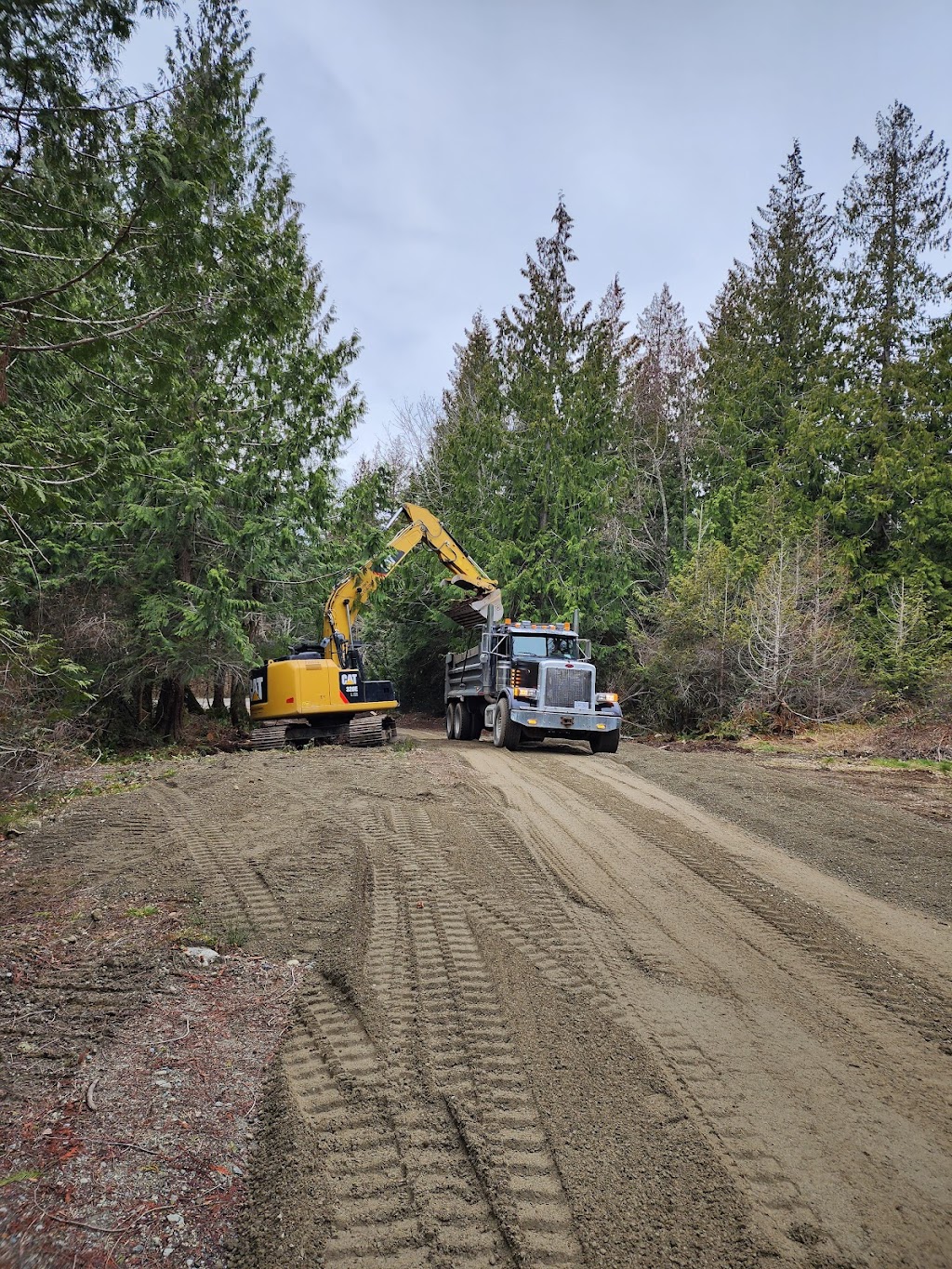 Bear Tooth Excavating | 5097 Manson Ave, Powell River, BC V8A 3N8, Canada | Phone: (250) 893-3553