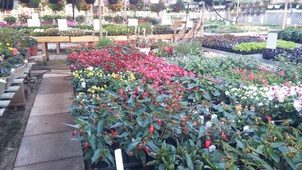 Vanvugt Greenhouses | West Shore Rd, Owen Sound, ON N4K 5N4, Canada | Phone: (519) 376-4537