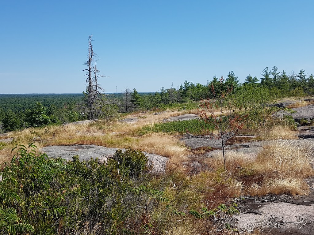 Rock Dunder | Rideau Lakes, ON K0E 1N0, Canada