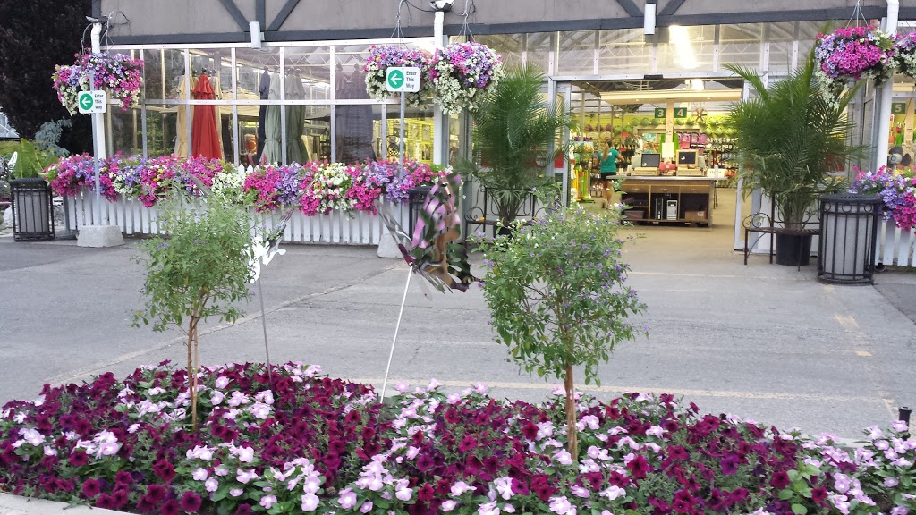 Plant World | 4000 Eglinton Ave W, Etobicoke, ON M9A 4M2, Canada | Phone: (416) 241-9174