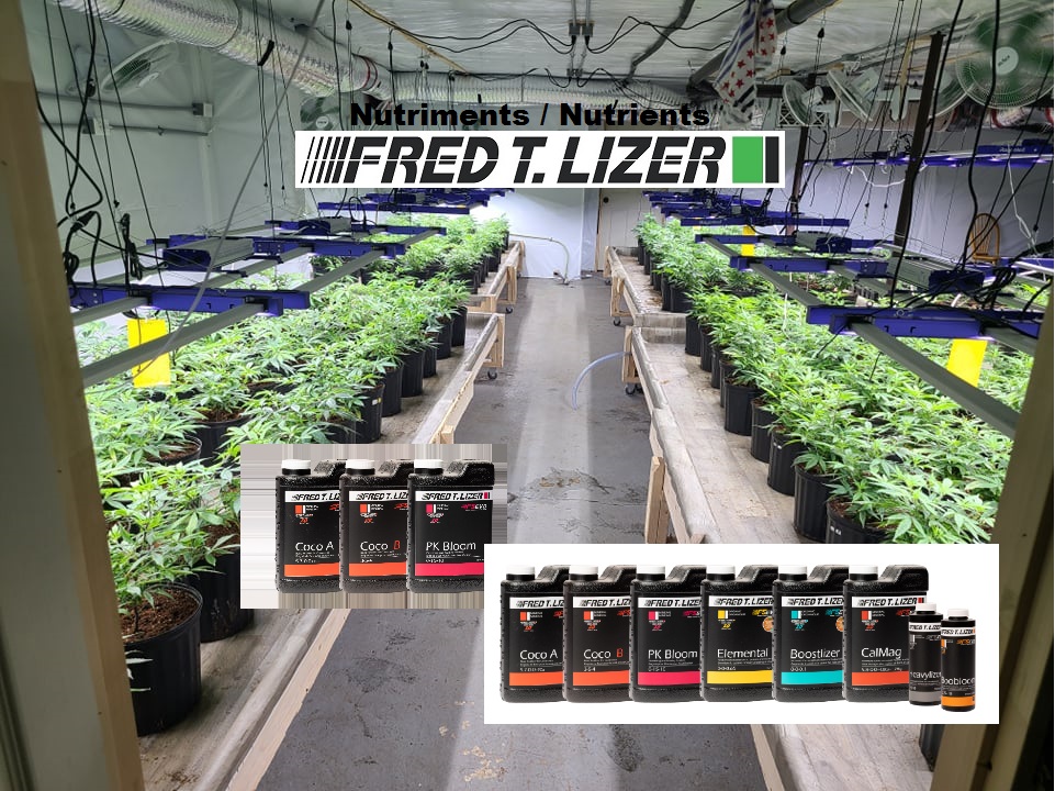 Fred T. Lizer | 567 Rue Saint-Joseph, Lévis, QC G6V 1G9, Canada | Phone: (418) 325-5400