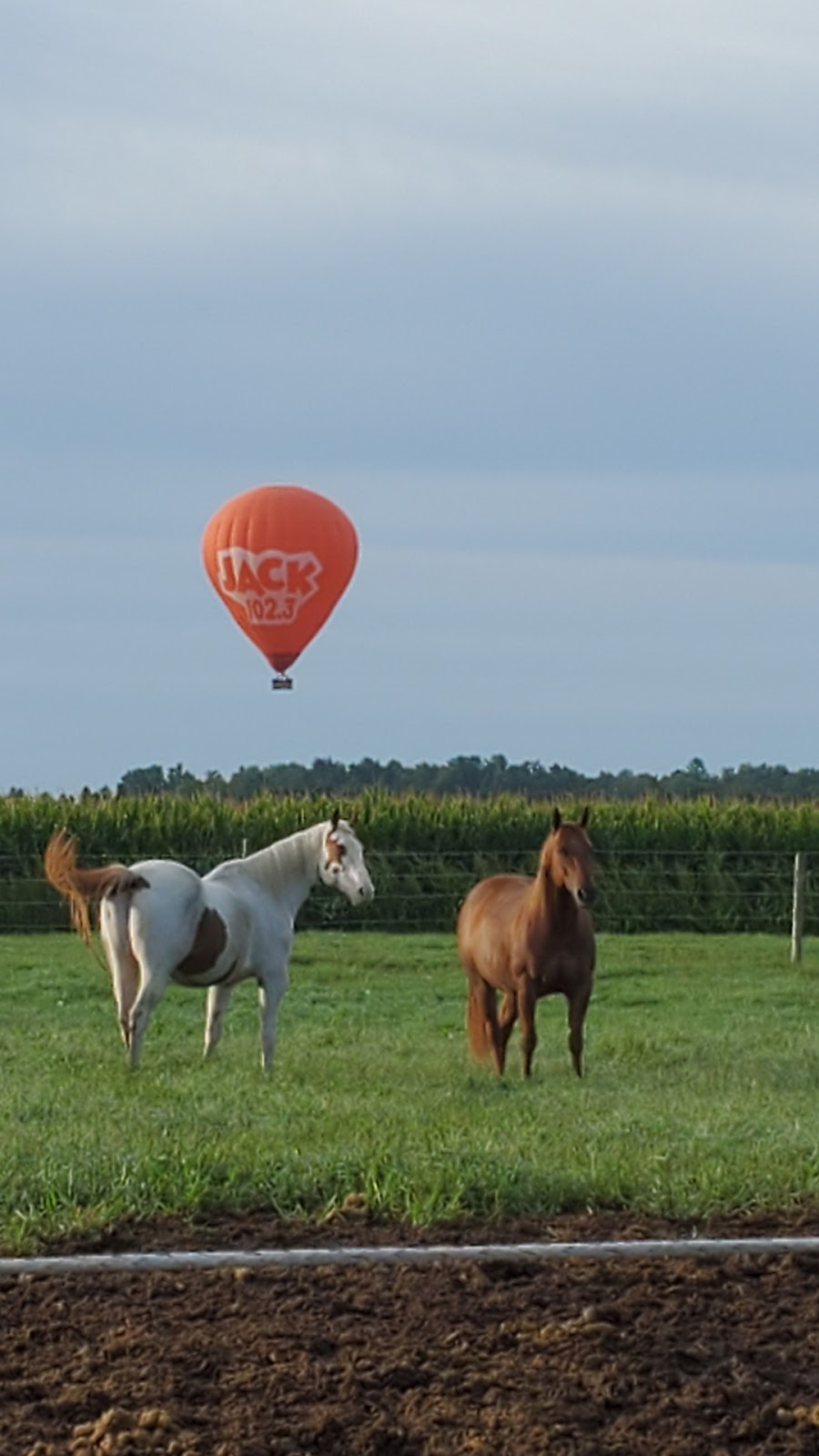 White Willow Equestrian Centre | 782668 Rd 78, Thamesford, ON N0M 2M0, Canada | Phone: (519) 860-6601