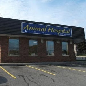 Animal Hospital Of Stoney Creek | 2804 King St E, Hamilton, ON L8G 1J5, Canada | Phone: (905) 662-3033