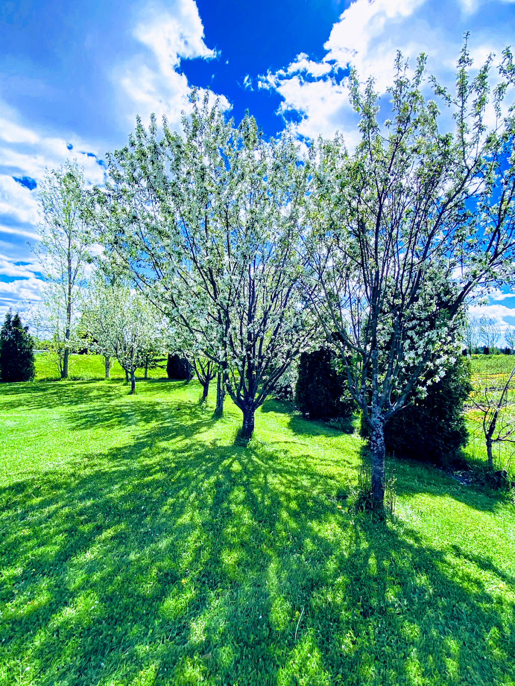 Ferme ruisseau des chasseurs | 2560 Rue Saint-Jean-Baptiste, Jonquière, QC G7X 7V5, Canada | Phone: (418) 591-3711