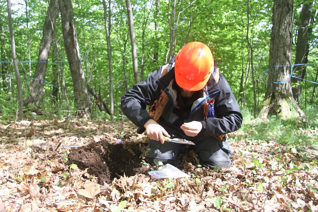 SNG Foresterie-conseil inc. | 2430 Rue Notre Dame O, Victoriaville, QC G6T 2E2, Canada | Phone: (819) 758-1693