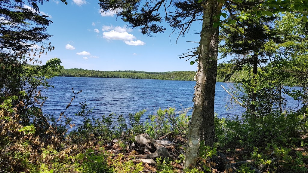 Sandy Lake Park | Bedford, NS B4B 1B6, Canada | Phone: (902) 490-4000