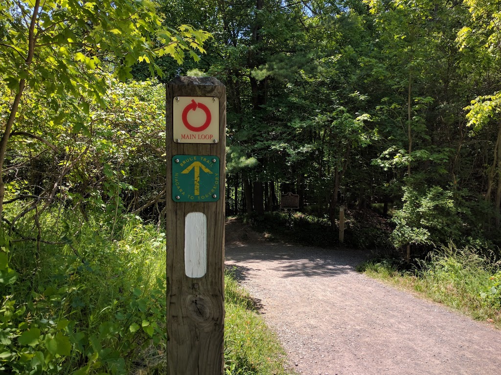 Dundas Main Loop | Bruce Trail, Dundas, ON L9H 5E3, Canada