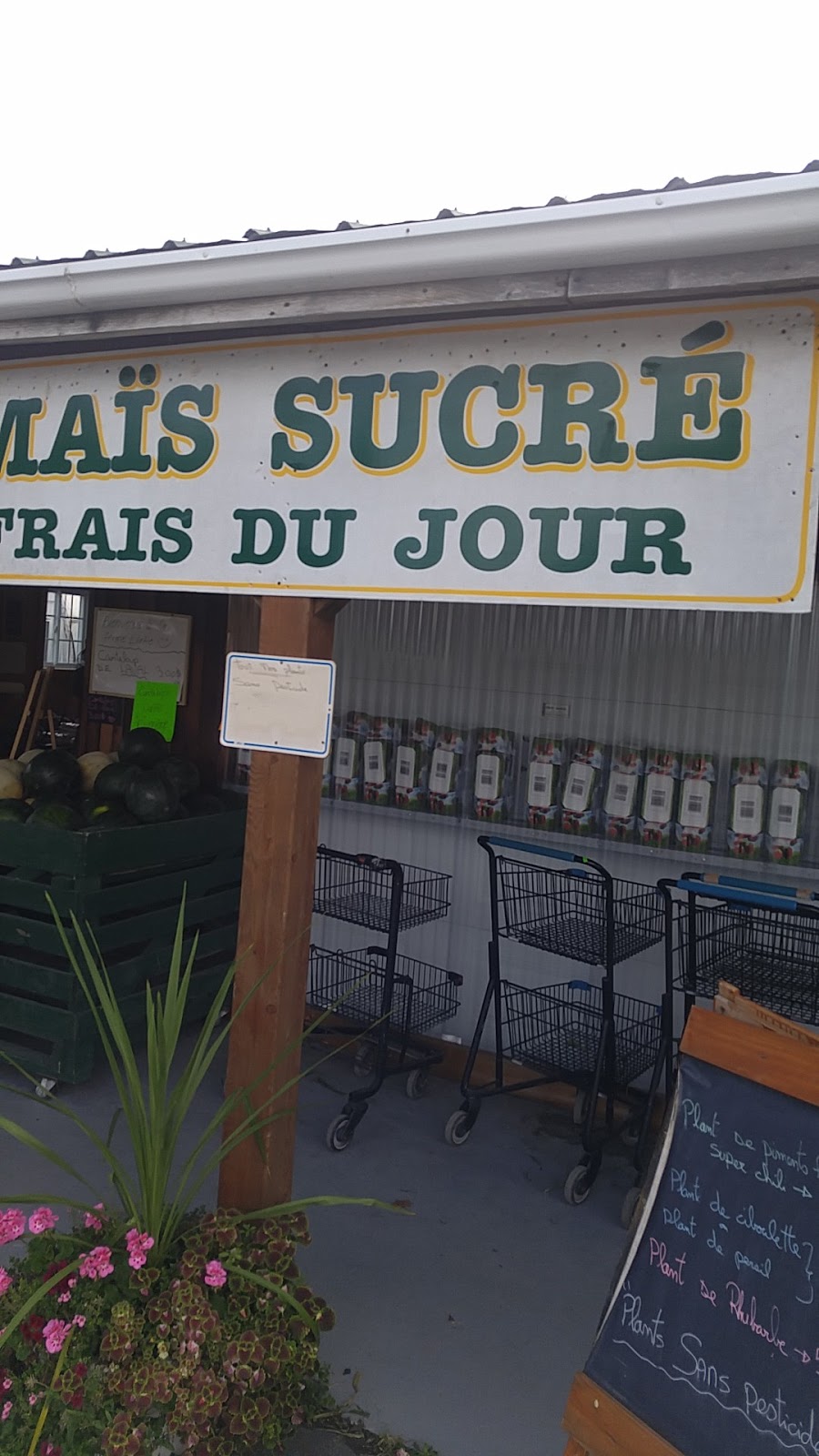 Ferme Lortie | 2100 Avenue des Perron, Laval, QC H7H 3C5, Canada | Phone: (450) 622-7216