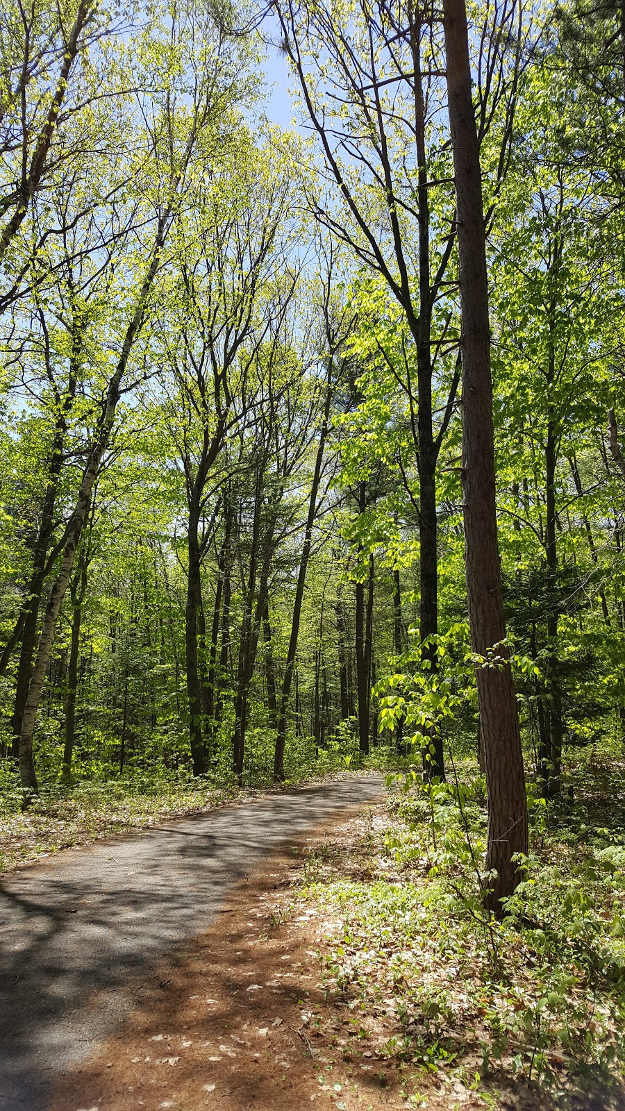 Parc régional des Grèves | 10350 Rte Marie-Victorin, Contrecoeur, QC J0L 1C0, Canada | Phone: (450) 742-4767