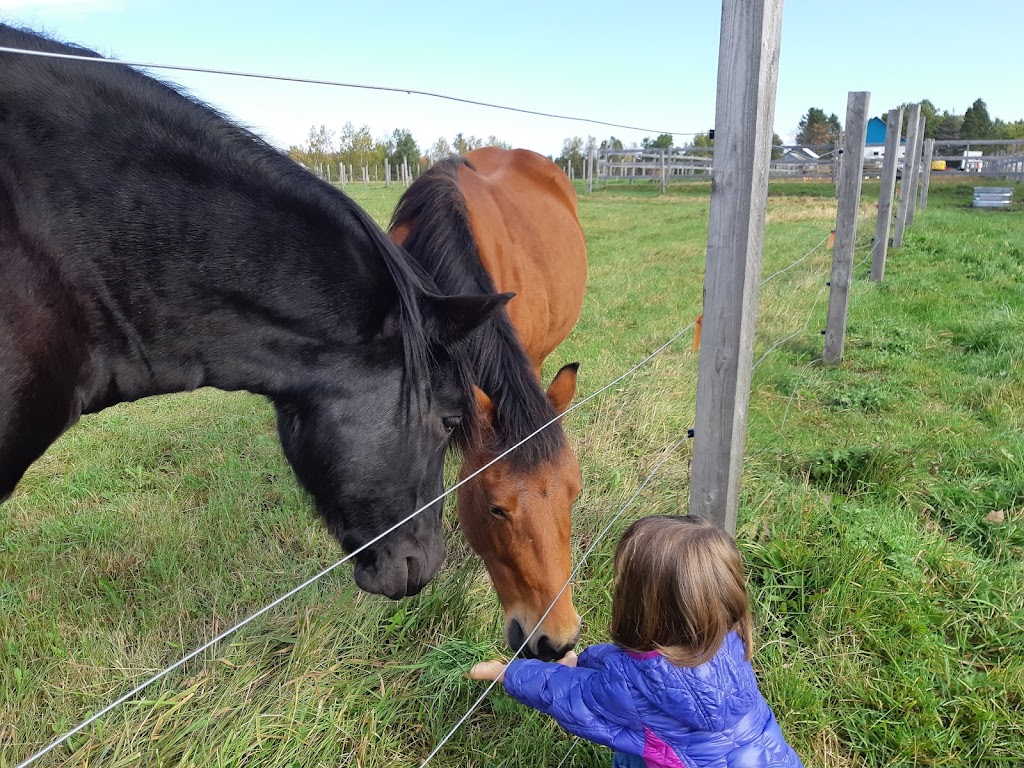 La ferme Pélipa | 1120 Rue Saint-Aimé, Saint-Lambert-de-Lauzon, QC G0S 2W0, Canada | Phone: (581) 888-1452