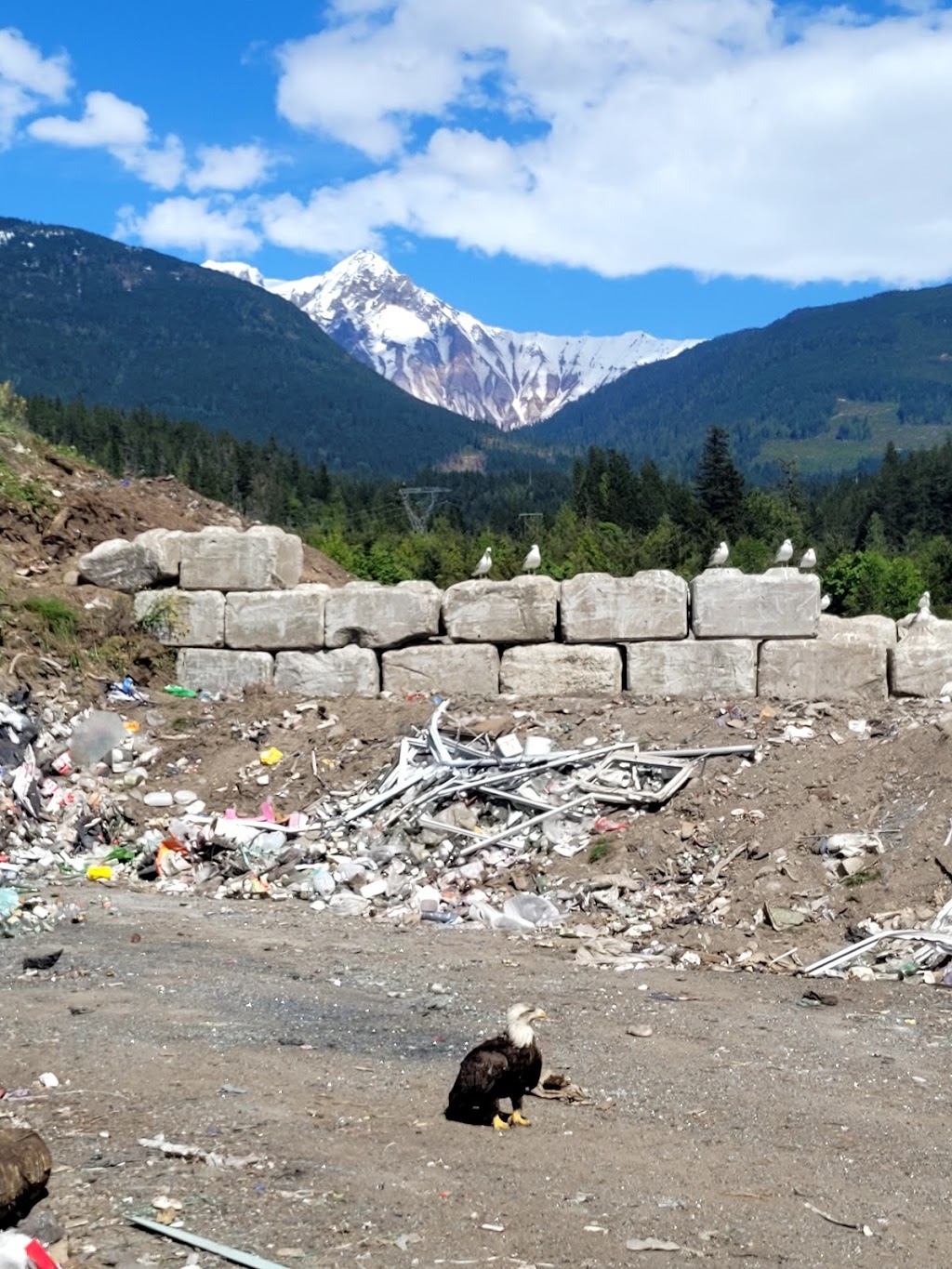 Squamish Landfill | 100 Landfill Rd, Squamish, BC V0N 1H0, Canada | Phone: (604) 898-5635