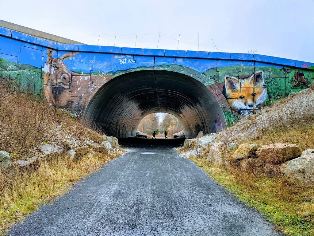 The Bluff Wilderness Hiking Trail (parking lot) | 2890 St Margarets Bay Rd, Timberlea, NS B3T 1H4, Canada | Phone: (902) 876-7377