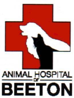 Animal Hospital Of Beeton | 60 Main St W, Beeton, ON L0G 1A0, Canada | Phone: (905) 729-2929