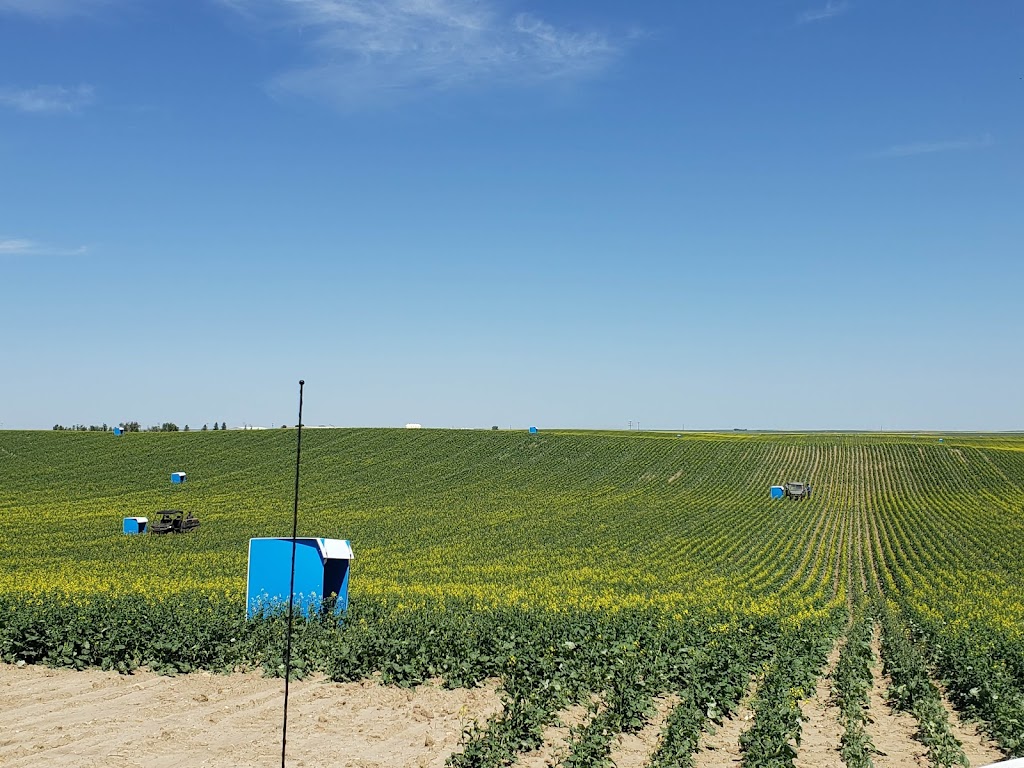 TNT Pollination | 134036, Township Rd 110, Grassy Lake, AB T0K 0Z0, Canada | Phone: (403) 360-2528