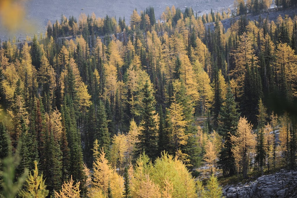 Burstall Pass Trailhead | Smith Dorrien Trail, Alberta T0L 2C0, Canada | Phone: (403) 678-0760