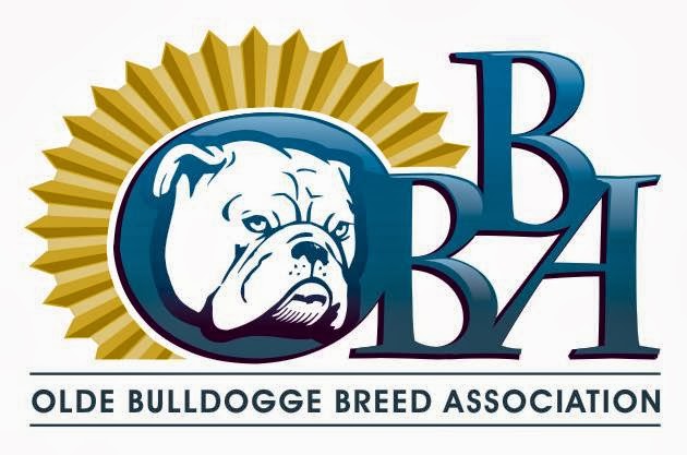 Olde Bulldogge Breed Association | 78 Main St S, Hagersville, ON N0A 1H0, Canada | Phone: (905) 379-4489