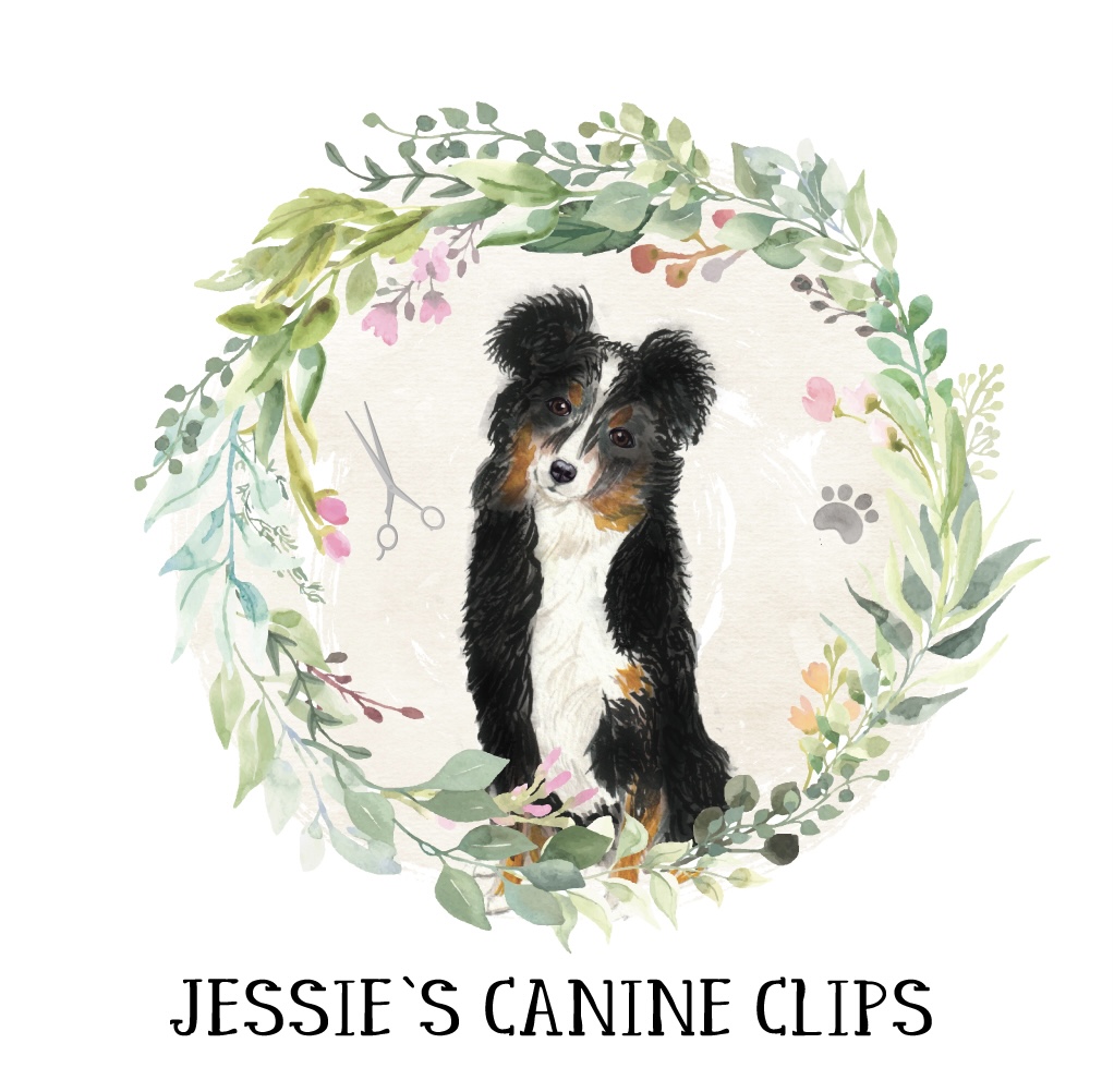 Jessies Canine Clips | 80 Woodland Dr, Midland, ON L4R 4E1, Canada | Phone: (705) 543-1835