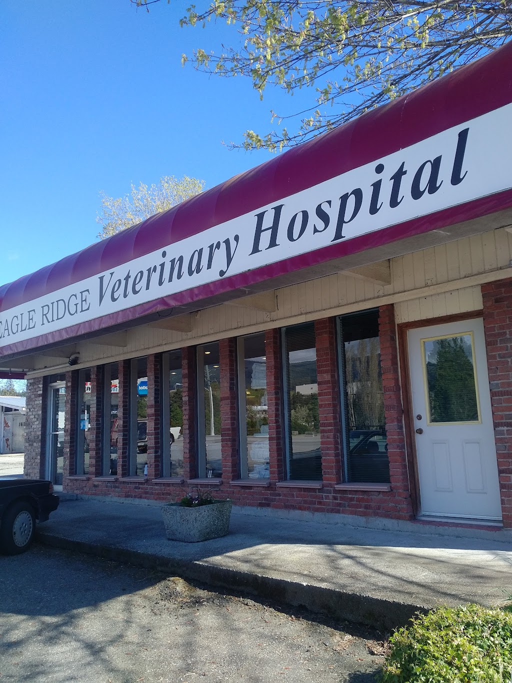 Eagle Ridge Veterinary Hospital | 5595 Sunshine Coast Hwy, Sechelt, BC V0N 3A0, Canada | Phone: (604) 885-5158