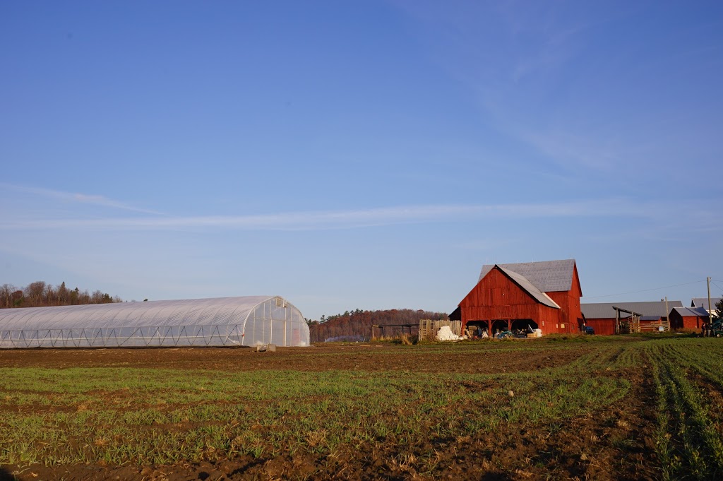 Roots and Shoots Farm | 115 Chemin de la Beurrerie, Alcove, QC J0X 1A0, Canada | Phone: (613) 897-8975