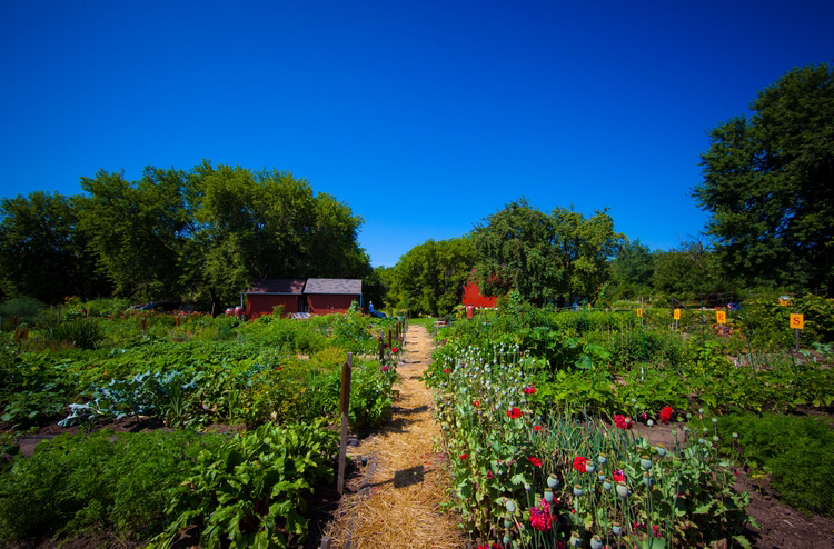 Whitby Ajax Garden Project | Whitby, ON L1M 1S3, Canada