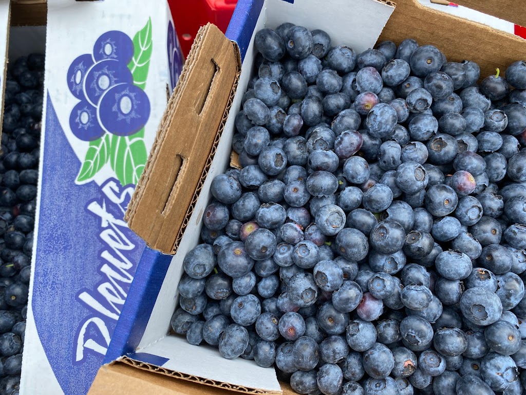 Grandpa’s Blueberry Farm | 1857 232 St, Langley Twp, BC V2Z 2Z6, Canada | Phone: (778) 858-8147