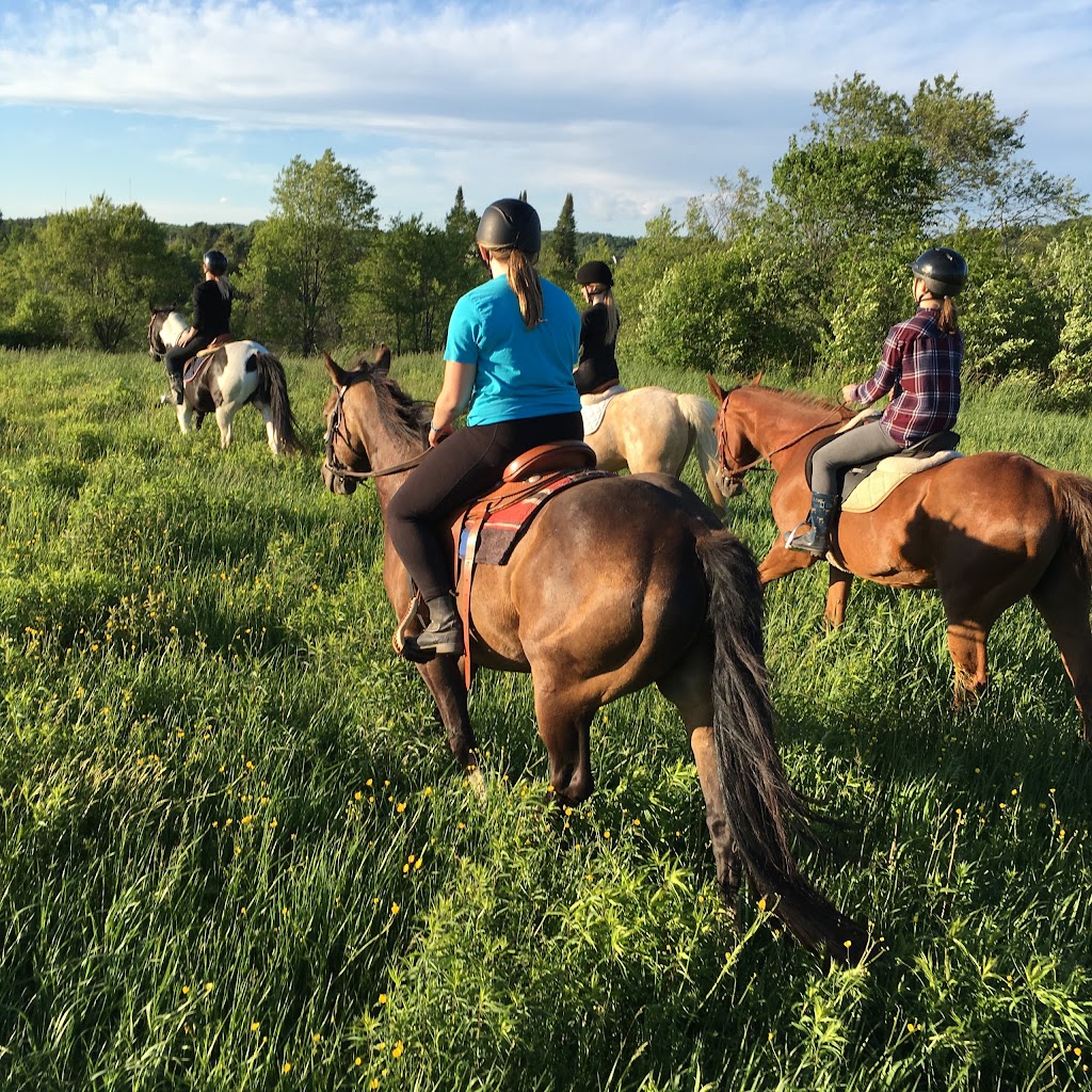 Maple Lane Farms | 1120 Fraserburg Rd, Bracebridge, ON P1L 0A1, Canada | Phone: (705) 205-4115