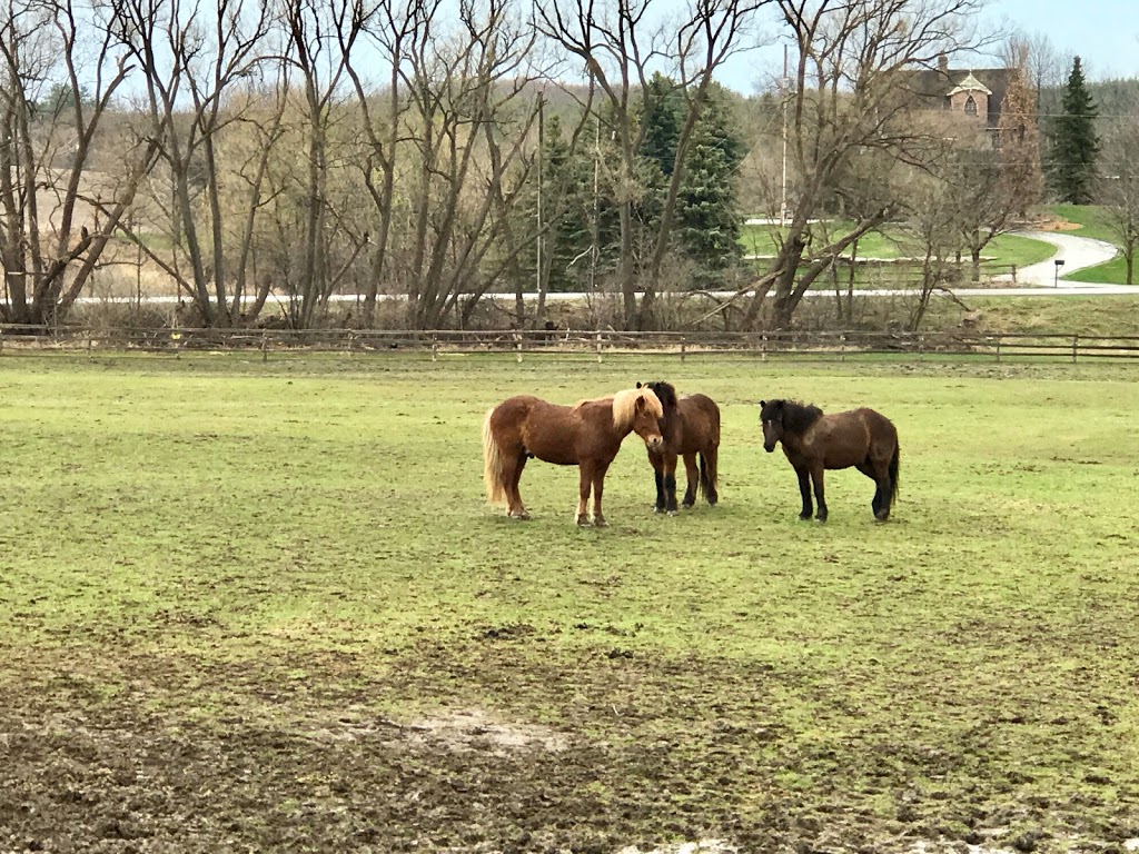 Wolfstone Farm | 15876 Mt Wolfe Rd, Bolton, ON L7E 3N8, Canada | Phone: (905) 880-7635