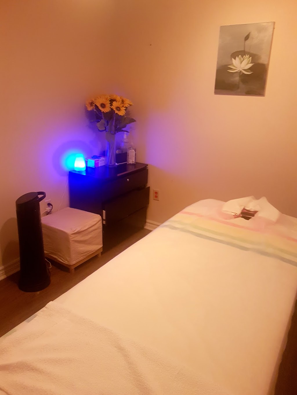 Sunshine Health And Spa | 394 Bloor St W, Toronto, ON M5S 1X4, Canada | Phone: (647) 835-3579