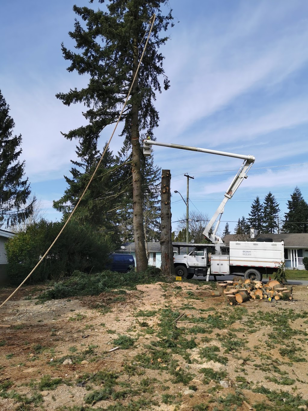 Mid Valley Tree Services | 2613 264 St, Aldergrove, BC V4W 2V5, Canada | Phone: (604) 791-8733