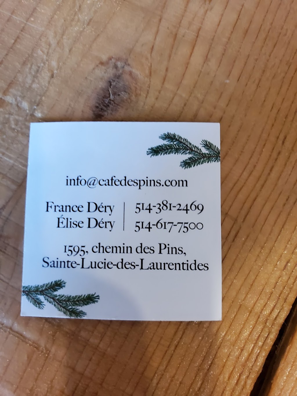 Café des Pins | 1095 chemin des Pins, Sainte-Lucie-des-Laurentides, QC J0T 2J0, Canada | Phone: (514) 381-2469