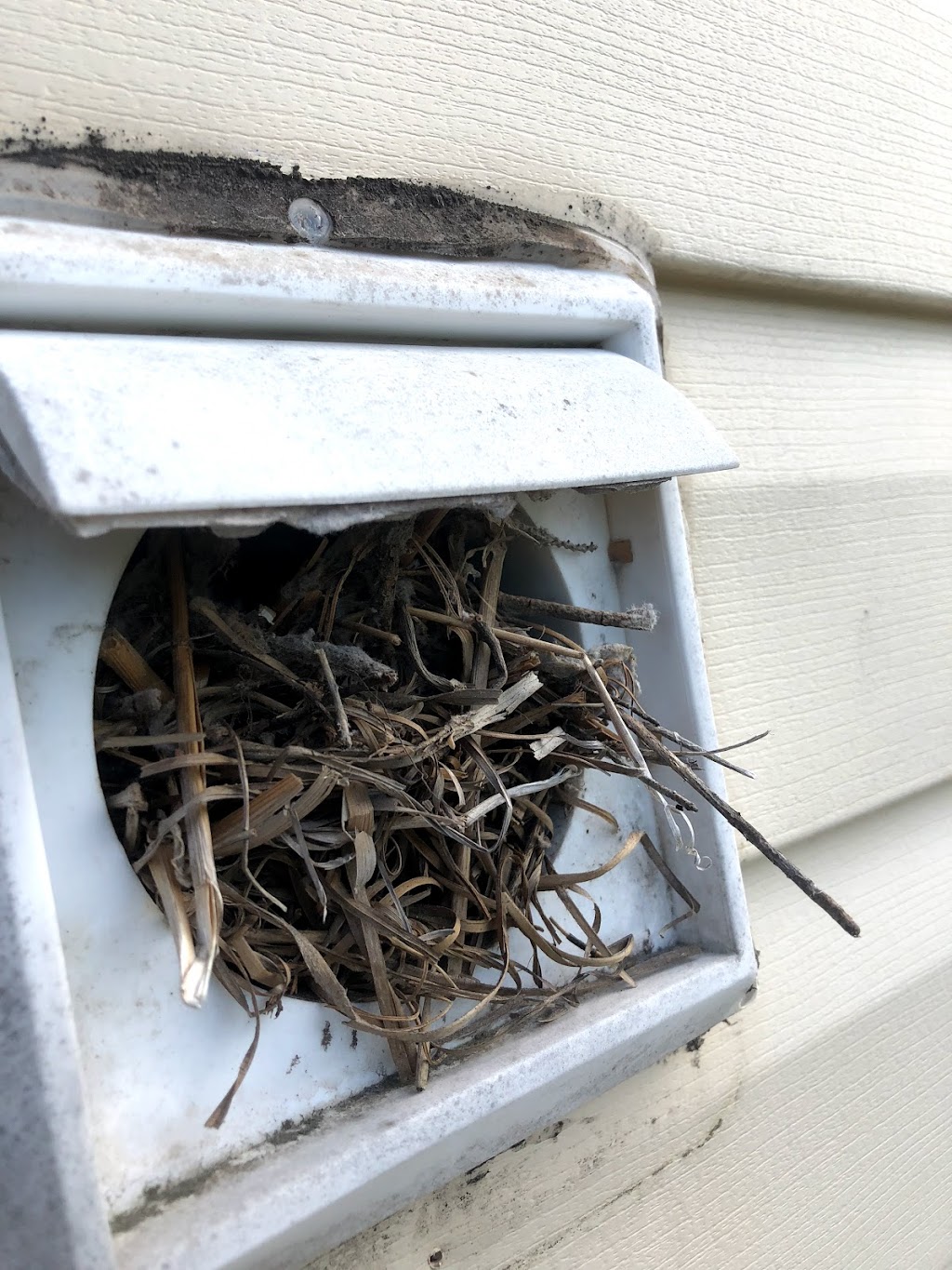 SAFE-D DRYER VENT CLEANING | 60 Kenneth Dr, Beaver Bank, NS B4E 3G7, Canada | Phone: (902) 237-8620