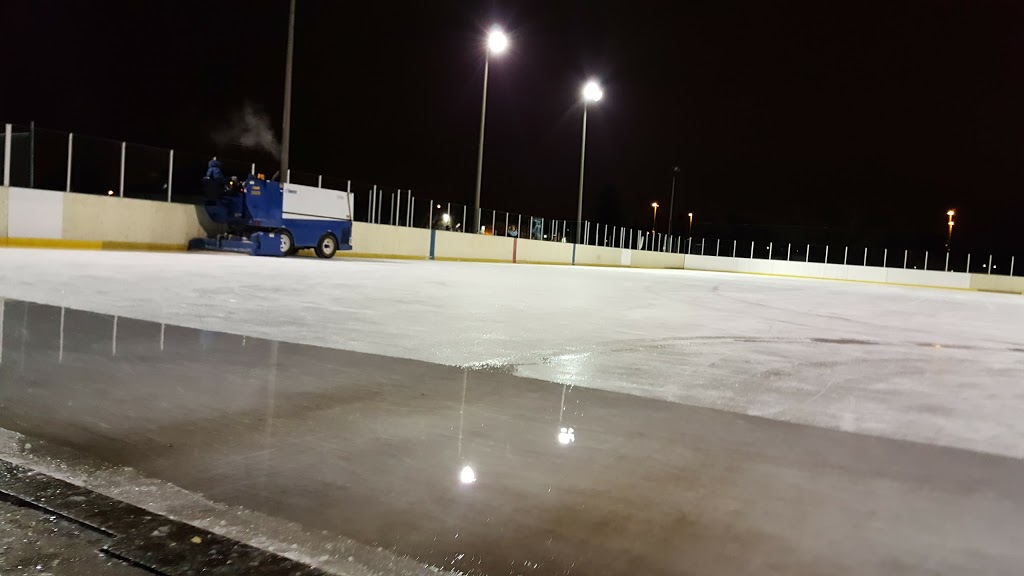 Irving W Chapley Rink | 205 Wilmington Ave, North York, ON M3H 6B3, Canada | Phone: (416) 395-0453