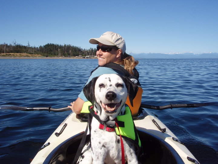 Dogs Do Smile | 266 Anderton Rd, Comox, BC V9M 1Y2, Canada | Phone: (250) 702-7578