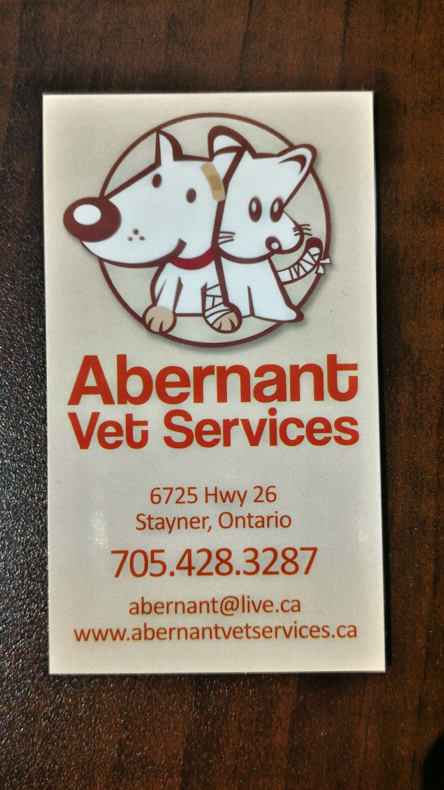 Abernant Veterinary Services | 6725 ON-26, Stayner, ON L0M 1S0, Canada | Phone: (705) 428-3287