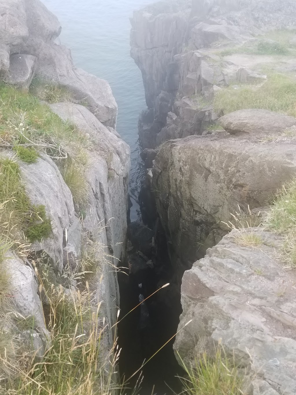 Harbor Lookout Point | Petty Harbour-Maddox Cove, NL A1S 1L1, Canada