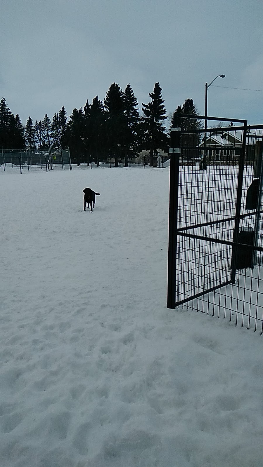 Dog Park | Crossfield, AB T0M 0S0, Canada